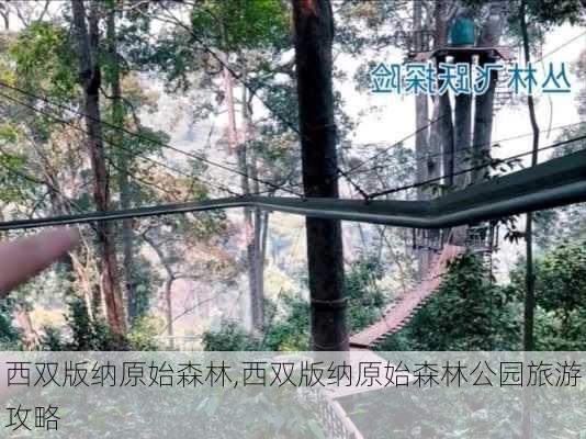 西双版纳原始森林,西双版纳原始森林公园旅游攻略