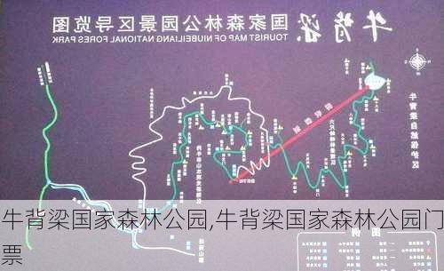 牛背梁国家森林公园,牛背梁国家森林公园门票-第3张图片-小艾出游网