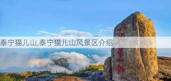 泰宁猫儿山,泰宁猫儿山风景区介绍