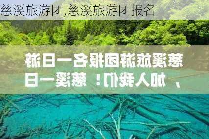 慈溪旅游团,慈溪旅游团报名-第1张图片-小艾出游网