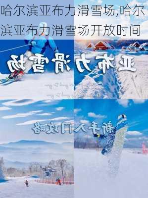 哈尔滨亚布力滑雪场,哈尔滨亚布力滑雪场开放时间-第2张图片-小艾出游网