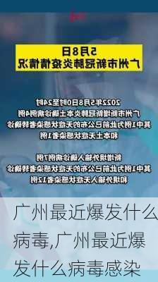 广州最近爆发什么病毒,广州最近爆发什么病毒感染-第2张图片-小艾出游网