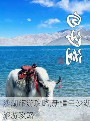 沙湖旅游攻略,新疆白沙湖旅游攻略-第2张图片-小艾出游网